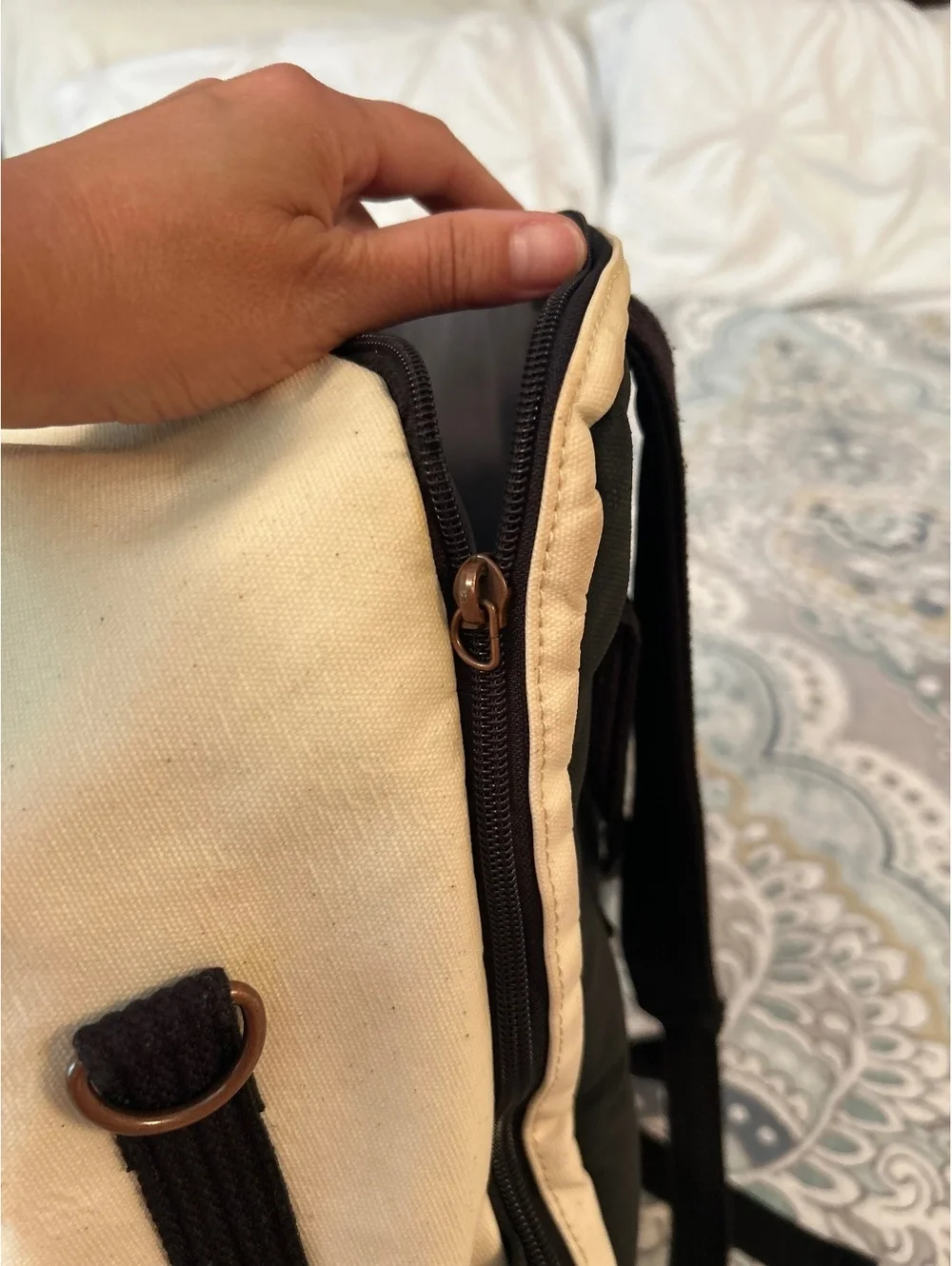 Petunia Pickle Bottom Two-Tone Canvas Backpack